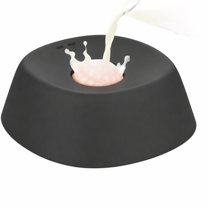 PawTech Sensory Feeder