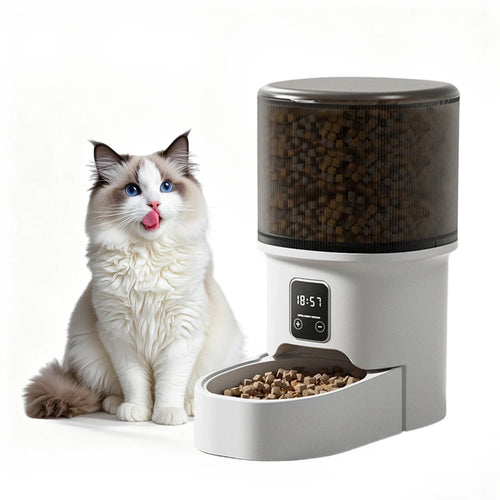 Pawtech Automatic Pet Feeder